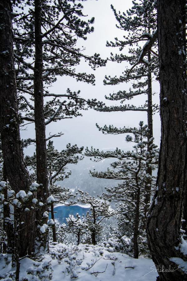 Vikendica Blidinje, Ranch Mikulicヴィラ エクステリア 写真